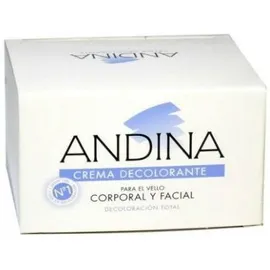 Andina Crema Decolorante Grande 100 g