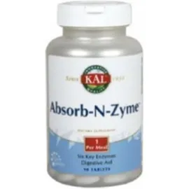 ABSORB-N-ZYME 90comp.